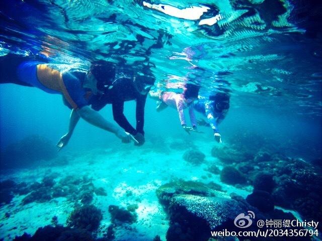 元气骑士5.4.5凉屋- 专业的问答类网站